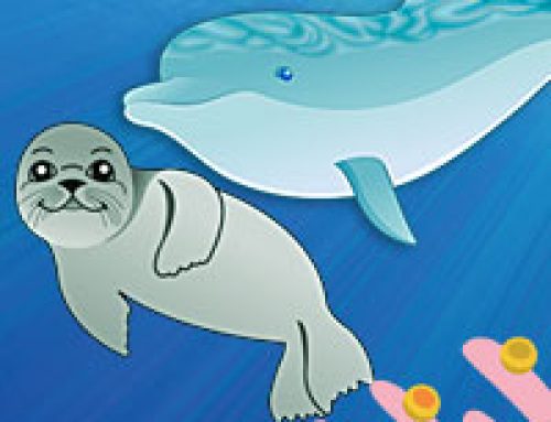 Children’s book about a dolphin – excerpt